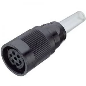 Image of Binder 09 0060 00 05 Standard Circular Connector Nominal current details 10 A Number of pins 5