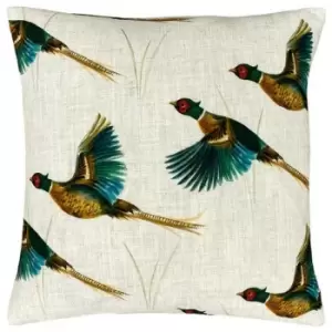 Image of Evans Lichfield Country Pheasant Cushion Cover (One Size) (Cream/Brown/Blue) - Cream/Brown/Blue