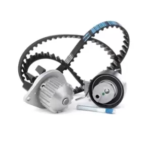 Image of DAYCO Water Pump + Timing Belt Kit KTBWP3361 FIAT,PEUGEOT,CITROEN,QUBO (225),FIORINO Kasten/Kombi (225),206 Schragheck (2A/C),207 (WA_, WC_)