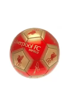 Image of Signature Football