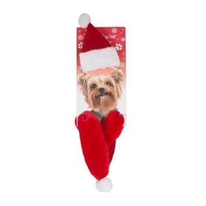 Image of Dog Christmas Hat & Scarf