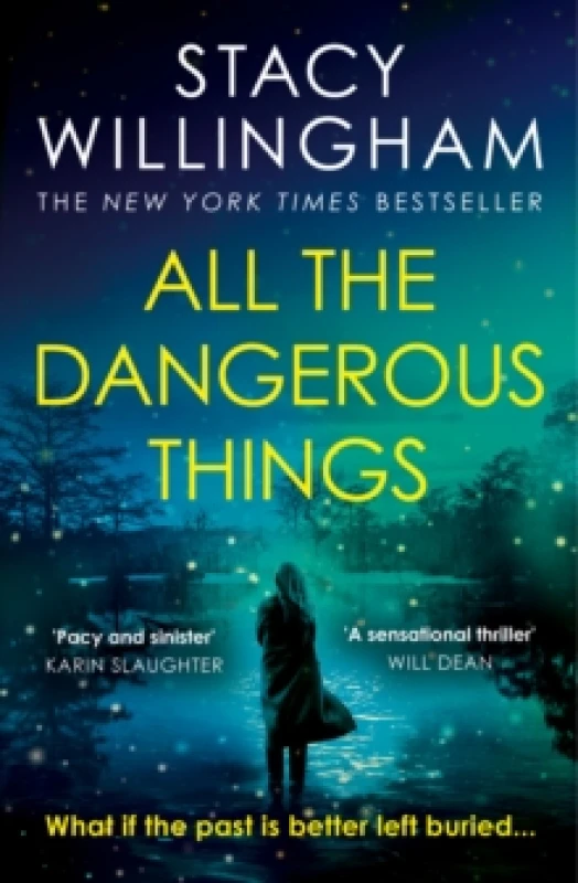 Image of All the Dangerous Things. Paperback. By Stacy Willingham Books