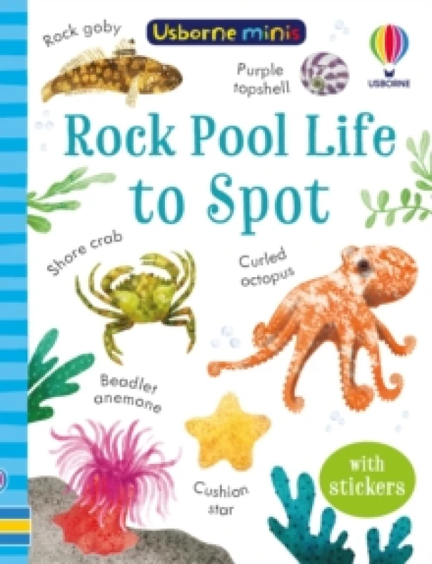 Image of Rock Pool Life to Spot Paperback / softback