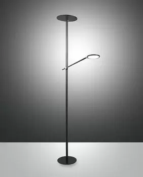 Image of Regina LED Integrated Floor Lamp Black Glass