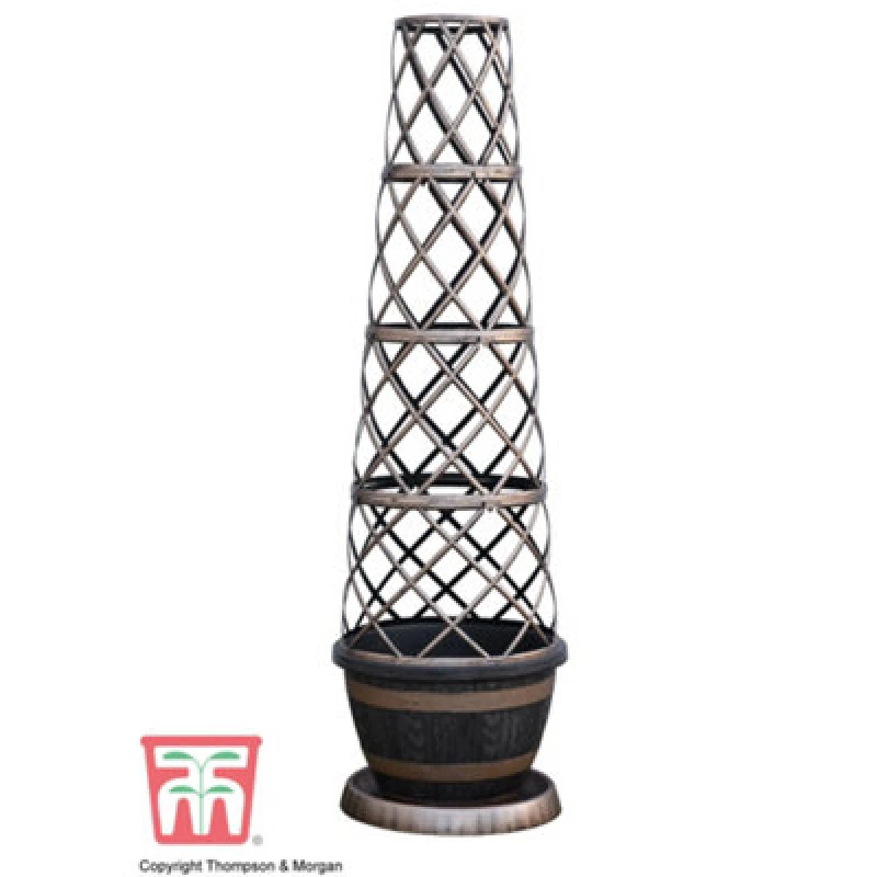 Image of Thompson & Morgan Patio Pot And Growing Frame - Tower Pot Wooden Barrel Effect X 2