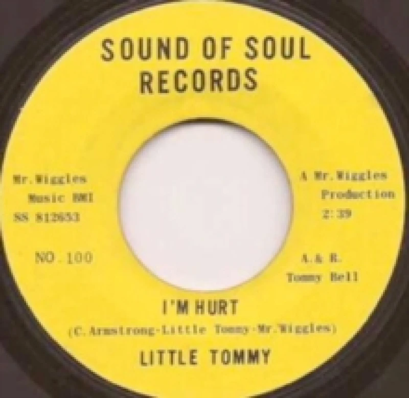 Image of I'm Hurt/Lov'h Vinyl