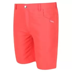Image of Regatta Sorcer Shorts II - Orange