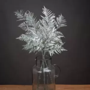 Image of Single Silver Fern