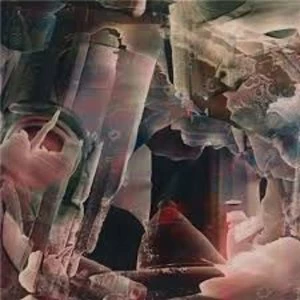 Image of Troum - AIWS Vinyl