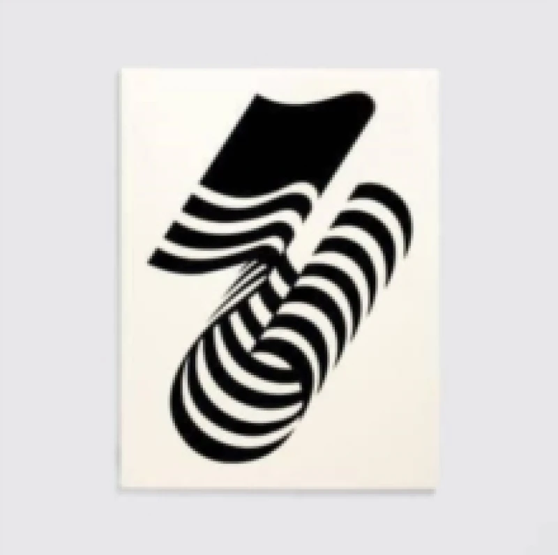 Image of Lance Wyman: Process : A proposal for the 1976 USA Bicentennial identity Paperback / softback