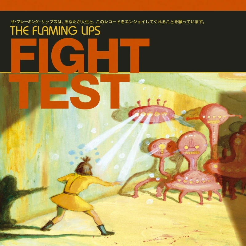 Image of Fight Test Vinyl