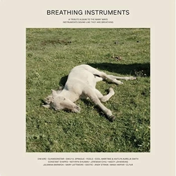 Image of Various Artists - Breathing Instruments Vinyl