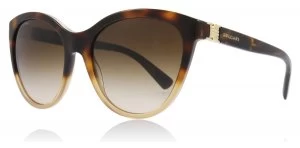 Image of Bvlgari BV8197 Sunglasses Brown Havana Gradient 536213 55mm