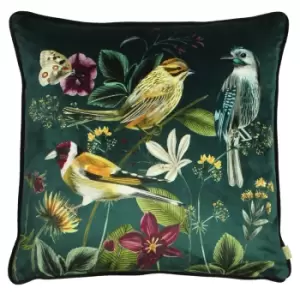 Image of Midnight Garden Bird Cushion Green / 43 x 43cm / Polyester Filled