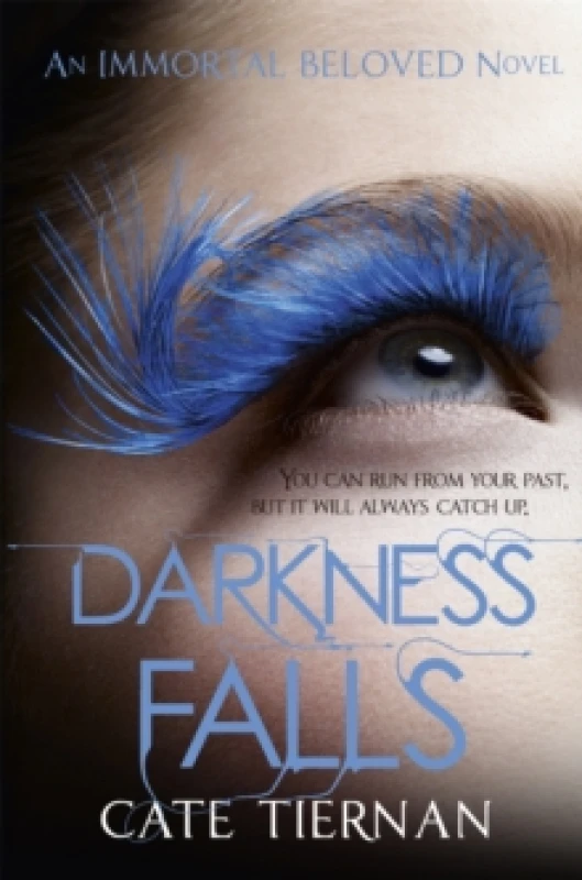 Image of Darkness Falls (Immortal Beloved Book Two) Paperback / softback