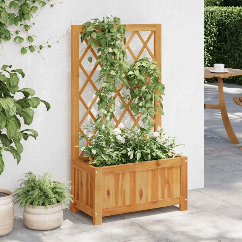 Image of VIDAXL Garden Raised Bed with Trellis Solid Acacia Wood Vidaxl 8720286597040