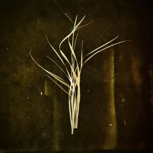 Image of Lumisokea - Mnemosyne Vinyl