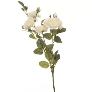 Image of Soft White Cottage Rose Stem