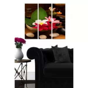 Image of MDF22315087 Multicolor Decorative MDF Painting (3 Pieces)