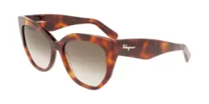 Image of Salvatore Ferragamo Sunglasses SF 1061S 240