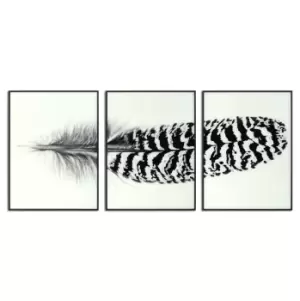 Image of Black Striped Feather Over 3 Black Glass Frames