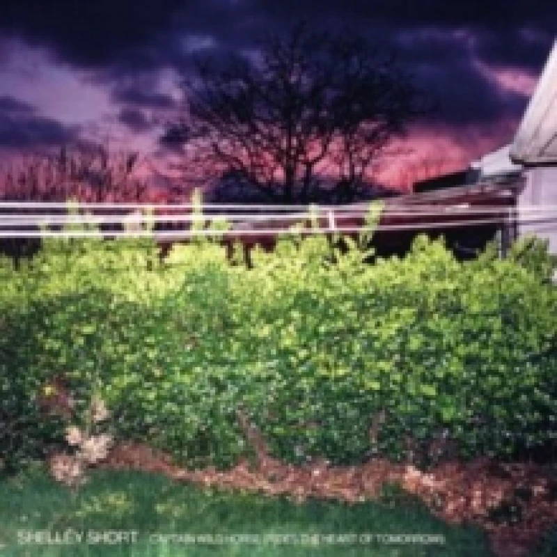 Image of Captain Wild Horse (Rides the Heart of Tomorrow) CD / Album