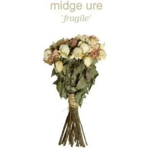 Image of Midge Ure - Fragile Vinyl