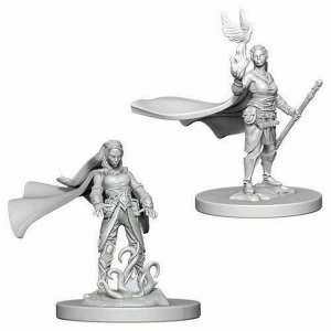 Image of Dungeons & Dragons Nolzur's Marvelous Unpainted Miniatures (W4) Elf Female Druid