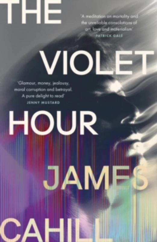 Image of The Violet Hour : An utterly gripping story of love, art, ambition and lies Hardback