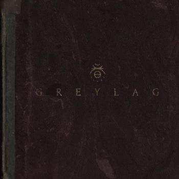 Image of Greylag - Greylag Limited Edition, Gold Vinyl