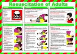 Image of Safety Poster - Resuscitation of Adults