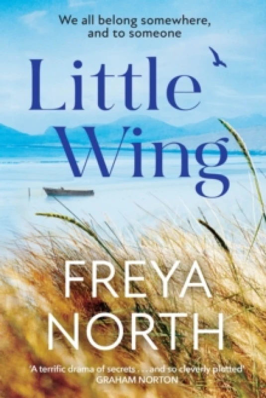 Image of Little Wing : A beautifully written, emotional and heartwarming story Paperback / softback
