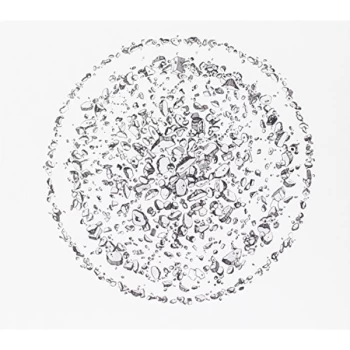 Image of Golden Retriever - Occupied With the Unspoken CD