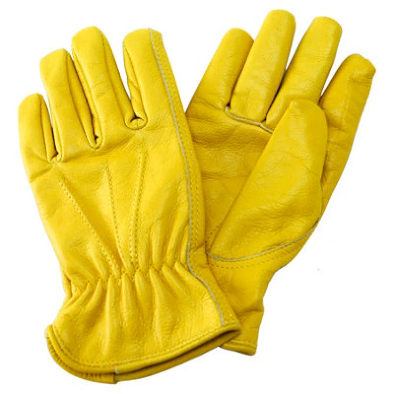 Image of Kent & Stowe Luxury Leather Gloves Ladies Small