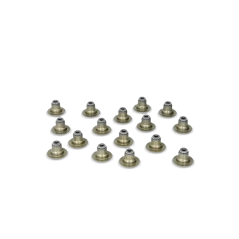 Image of REINZ Seal Set, valve stem FORD,PEUGEOT,MAZDA 12-35549-01 09565916x,109625316x,135758916x 147718616x,184859716x,5C1Q6571AC16x,XS7Q6571AD16x,09565916x