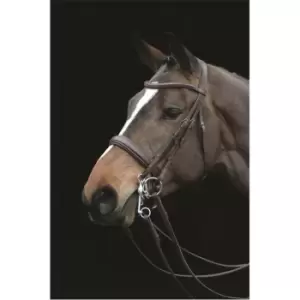 Image of Collegiate Mono Crown Padded Raised Weymouth Bridle Brown - Brown