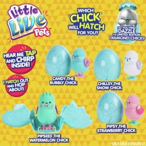 Image of Little Live Pets Surprise Chick Toy