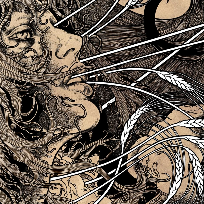 Image of Berkeley Guitar Vinyl