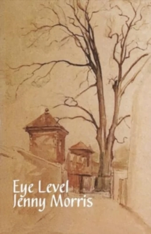 Image of Eye Level Paperback / softback