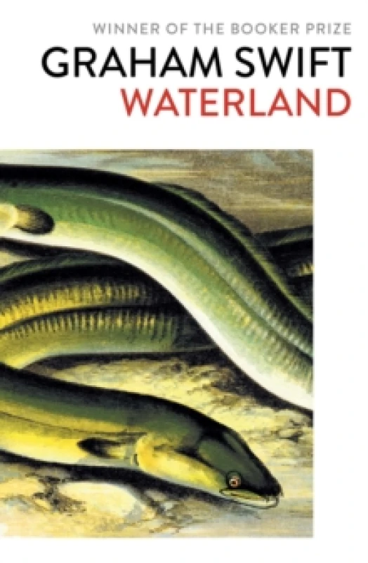 Image of Waterland Paperback / softback