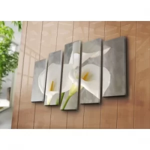 Image of 5PAT-19 Multicolor Decorative Canvas Painting (5 Pieces)