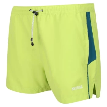 Image of Regatta Rehere Swim Shorts - BrKiw/PacfGr