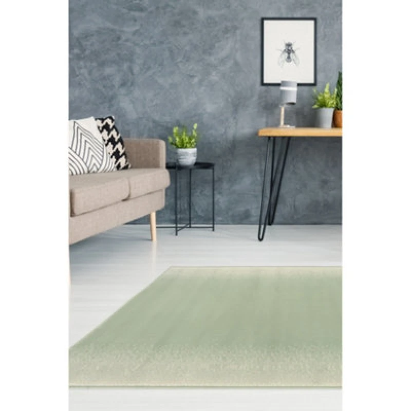 Image of Melrose Ombre Plain Sage Green Medium Indoor Area Rug 120/170Cm