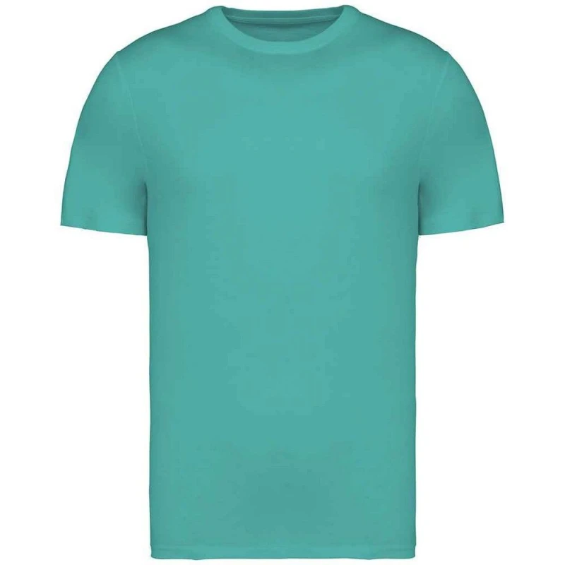 Image of Native Spirit Mens Heavyweight Slim T-Shirt in Jade Size: XS Jade Male XS