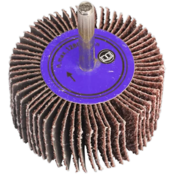 Image of Sealey Flap Wheel 25mm 20mm 60g