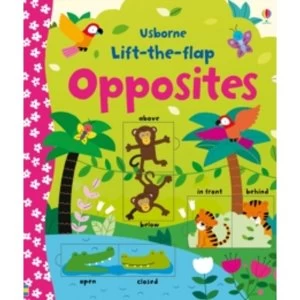 Image of Lift-the-flap Opposites by Felicity Brooks (Board book, 2015)