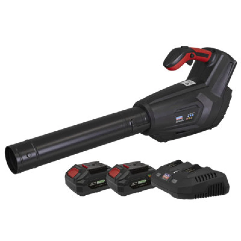 Image of Sealey CP40VB Twin 20v Cordless Leaf Blower CP40VBKIT Batteries: 2 x 4ah Li-ion
