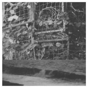 Image of Cremation Lily - The Processes And Instruments Of Normal People Vinyl