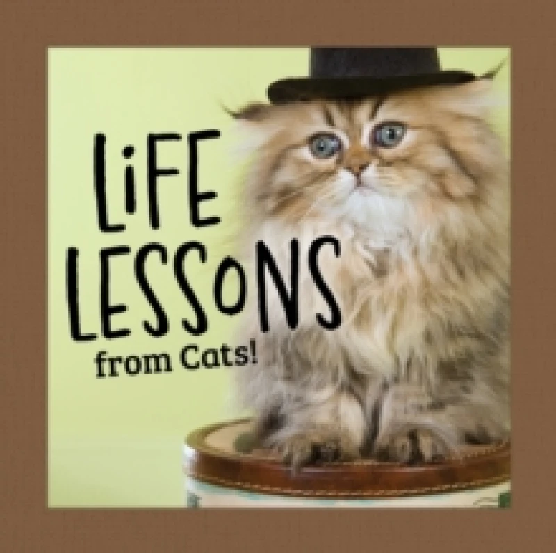 Image of Life Lessons from Cats Hardback