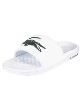 Image of Croco Dualiste 0922 1 CMA Sliders